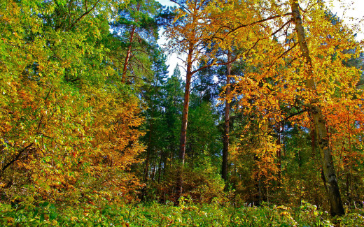 499344 (a): :2560x1600